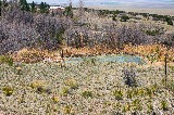 Old septic lagoon, now gone - Doug Bates